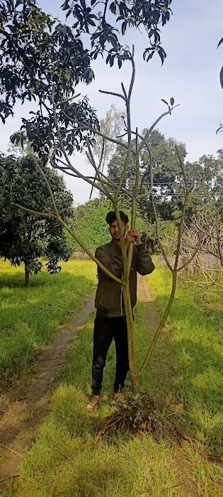 Medicinal Plantation - 5