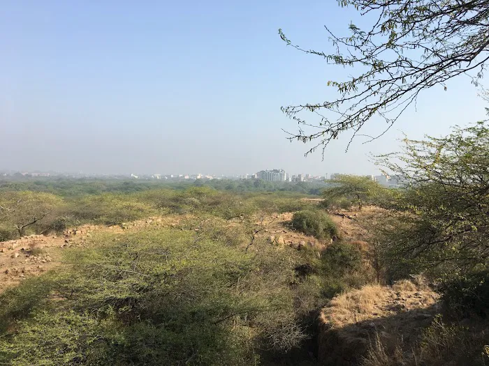 The Walls Of Qila Lal Kot and Sanjay VanView. - 2