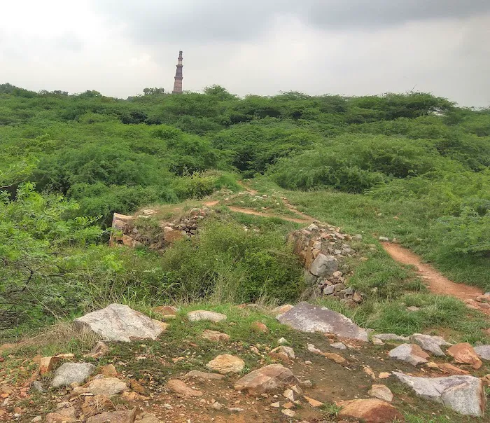 The Walls Of Qila Lal Kot and Sanjay VanView. - 0