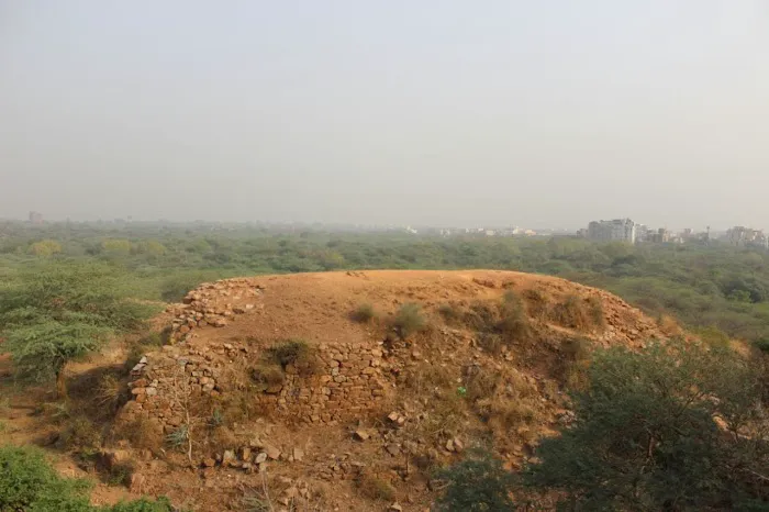 The Walls Of Qila Lal Kot and Sanjay VanView. - 5
