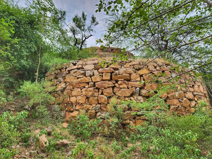 The Walls Of Qila Lal Kot and Sanjay VanView. - 4