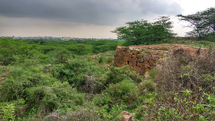 The Walls Of Qila Lal Kot and Sanjay VanView. - 6
