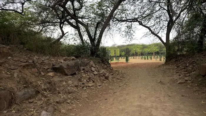 The Walls Of Qila Lal Kot and Sanjay VanView. - 8