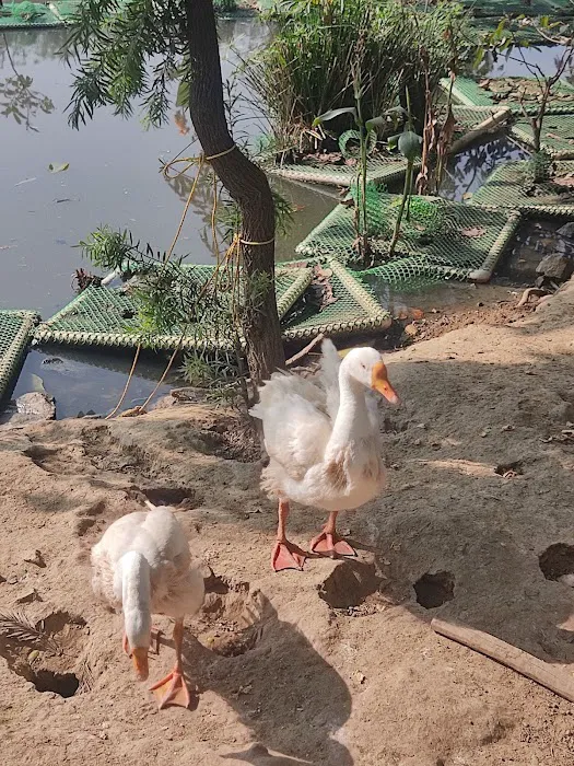 वन्य जीव संरक्षण उद्यान - 0