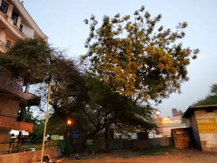 Qutub Sahib Park - 2