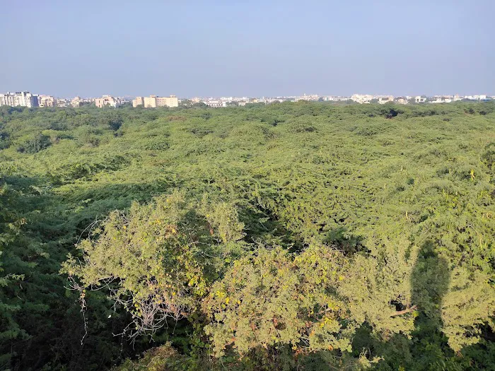 Sanjay Van - 2