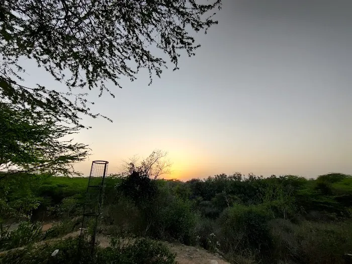 Sanjay Van - 3