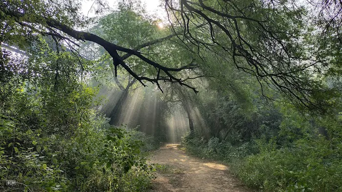 Sanjay Van - 1
