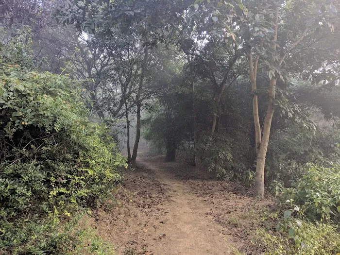 Sanjay Van - 4