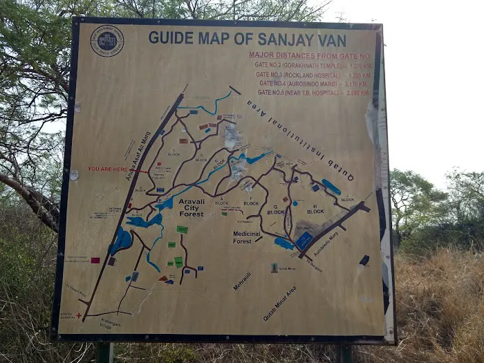 Sanjay Van - 9