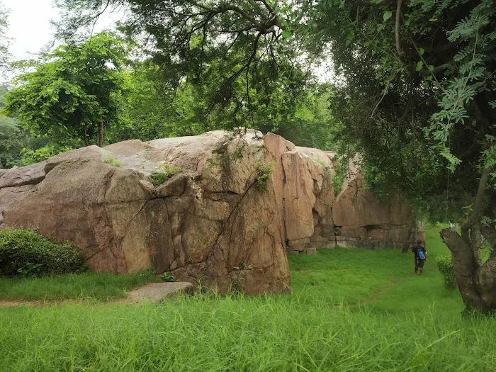 Sanjay Van - 6