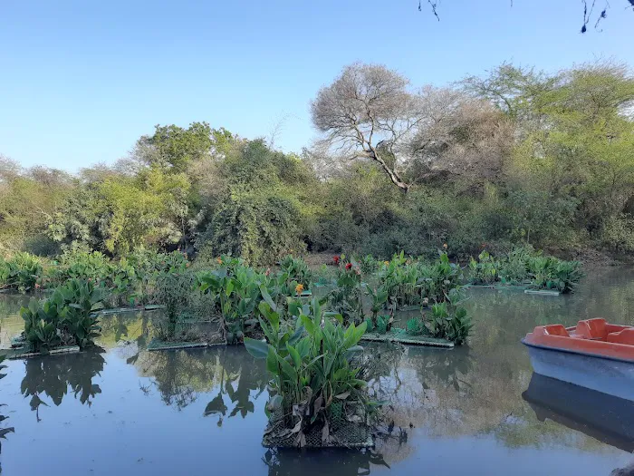 Sanjay Van - 5