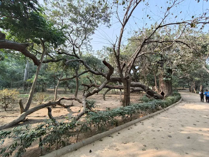 Jamali Kamali Park - 2