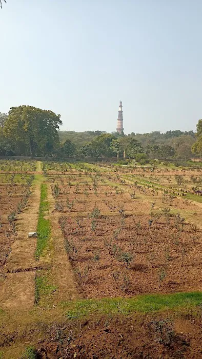 Jamali Kamali Park - 8