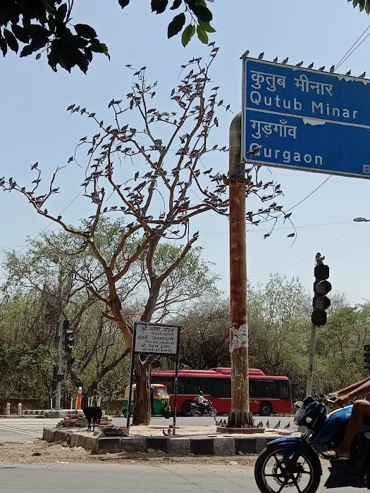 DDA Park - 6
