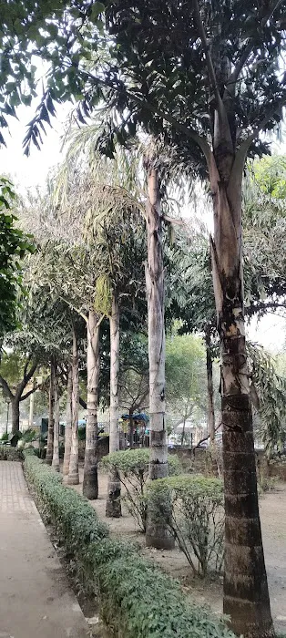 DDA Park - 5