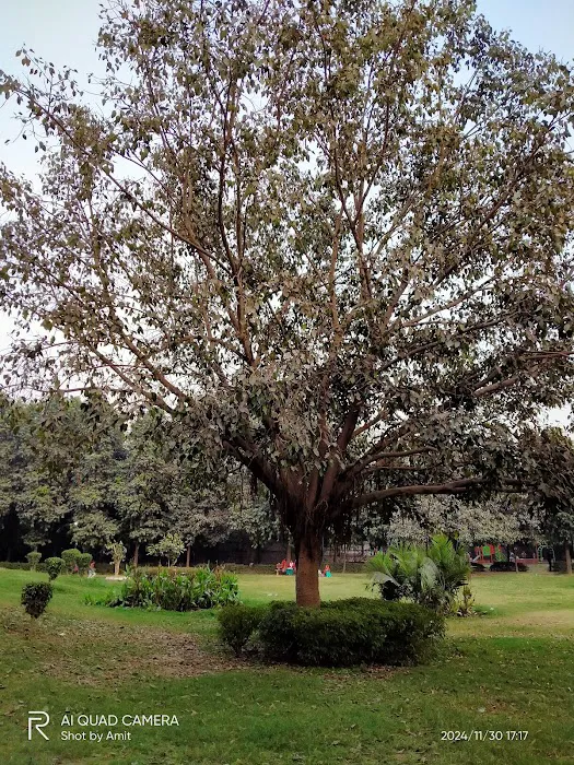DDA Park - 9