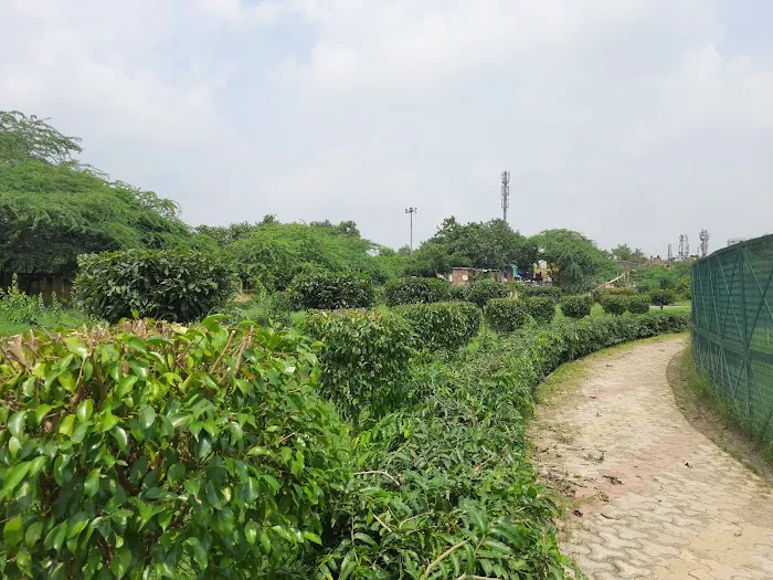 Satya Park - 0
