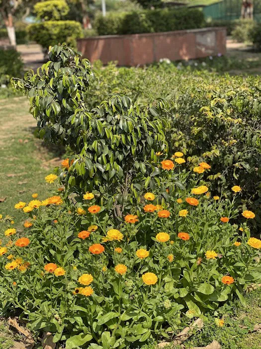 Satya Park - 3