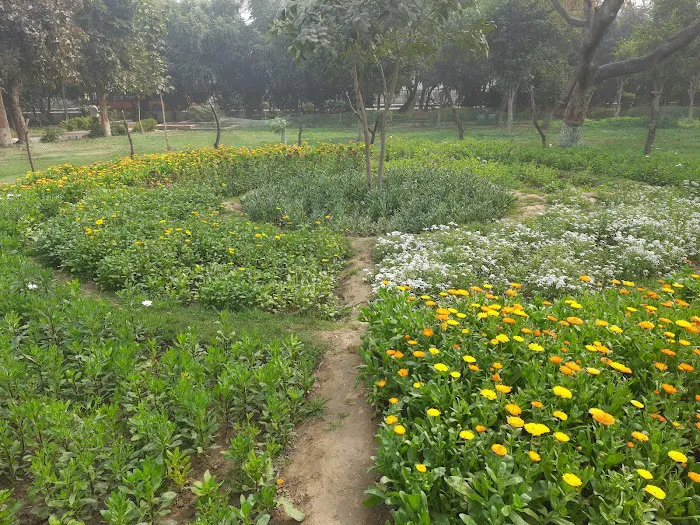 Satya Park - 5