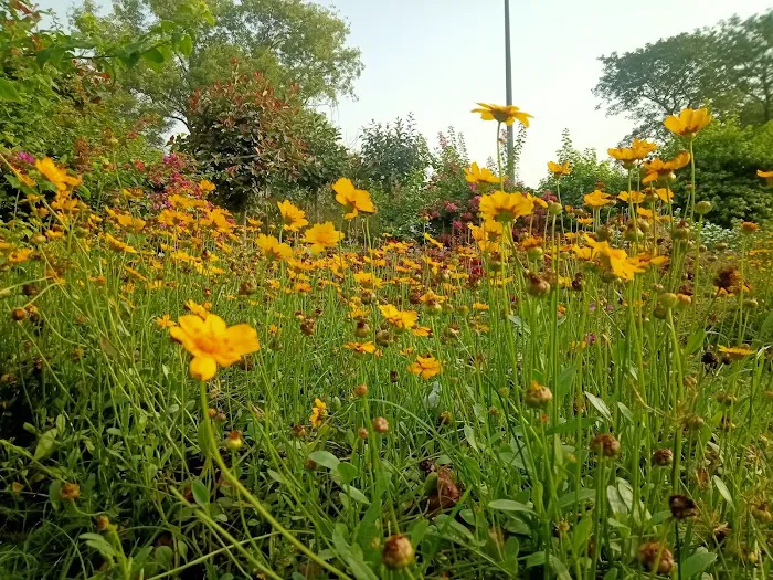 Satya Park - 4