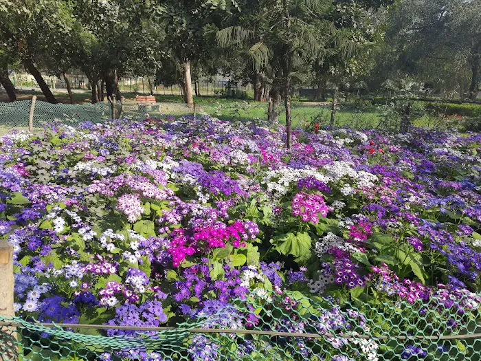 DDA Park - 2