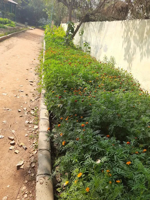 DDA Park - 4