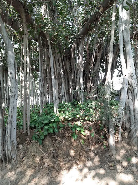 DDA Park - 6