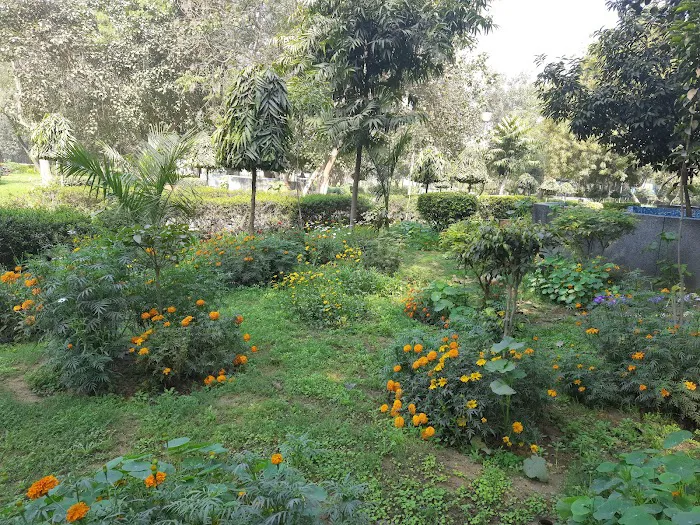 DDA Park - 7