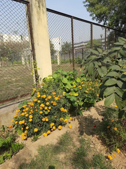 DDA Park - 8