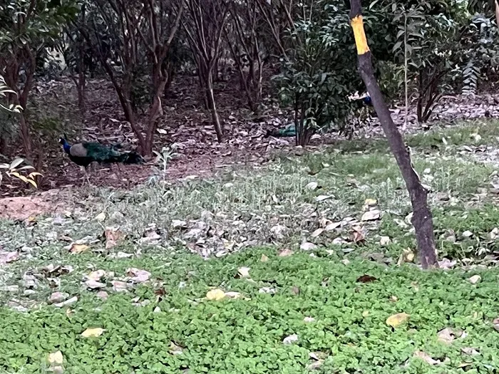 Park - 3