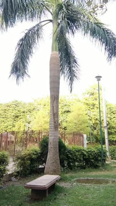 Park - 8