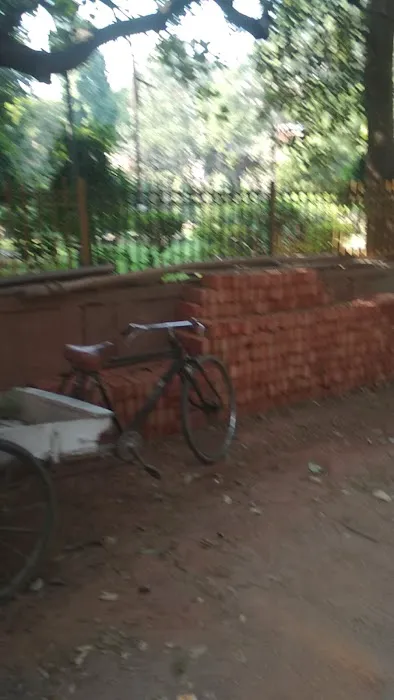 Park - 0