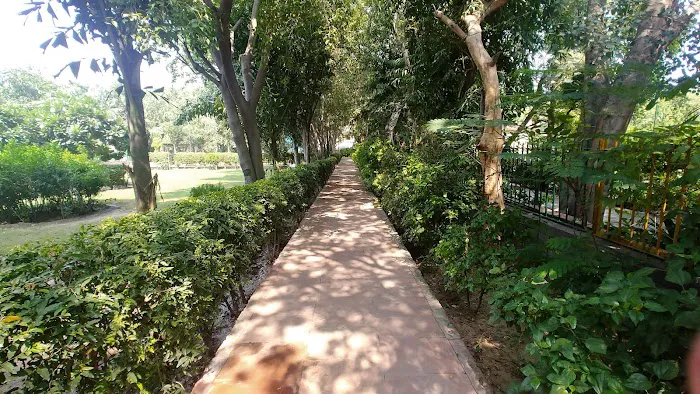 Central Park - 0