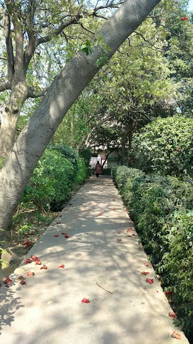 Central Park - 3