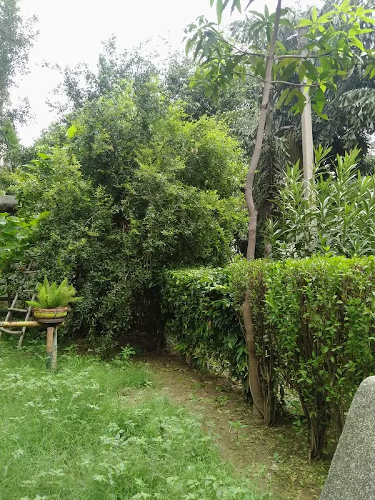Elephant park - 4
