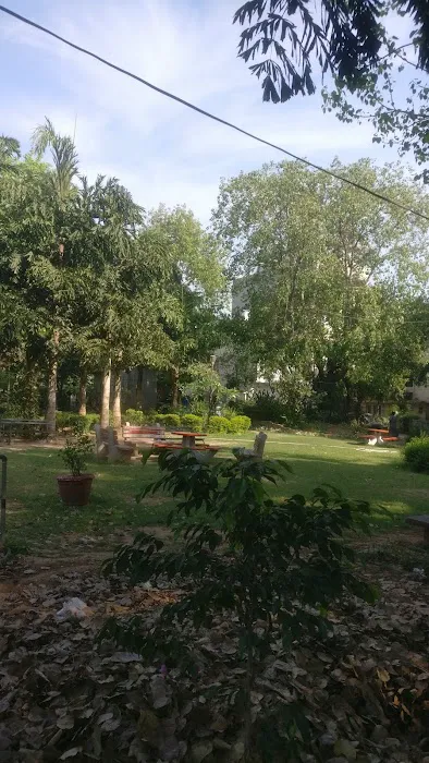 Elephant park - 6