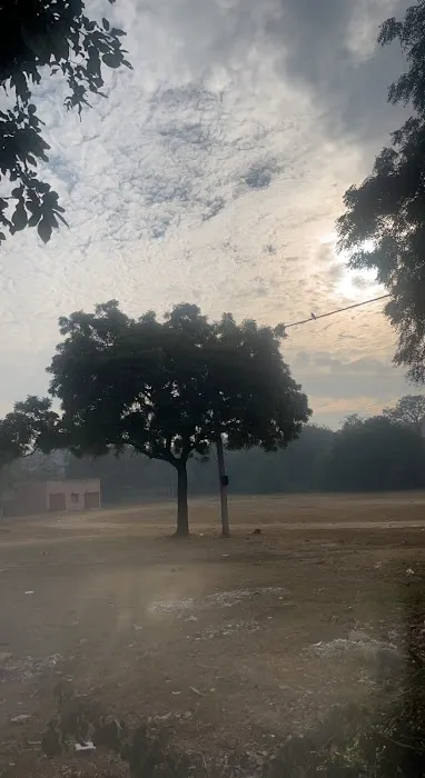 MSB Ground - 3
