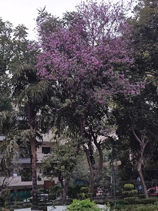 Nehru park - 4