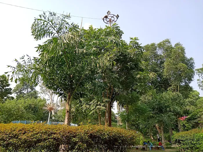 Nehru park - 9