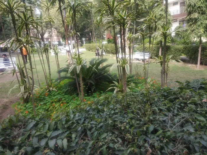MCD Park - 0