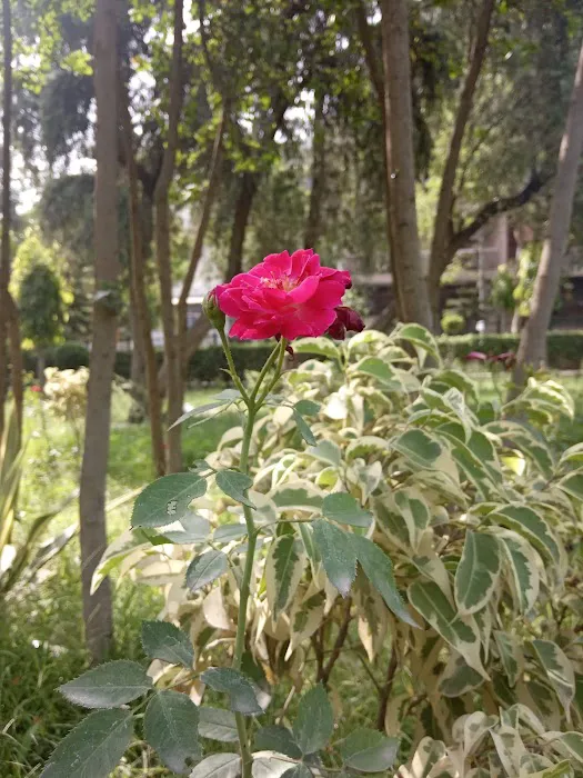 Rajendra Park - 9
