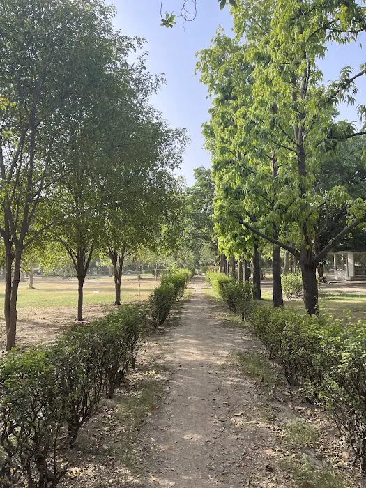 Picnic hut Park - 1