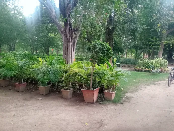 Picnic hut Park - 9