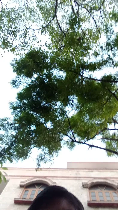 6A block park - 8