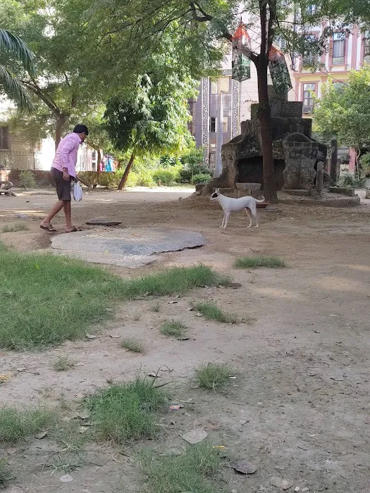Meera Bai Park Block 11A - 6