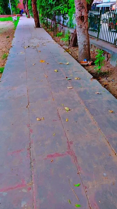 Baba Ramdev Park - 5