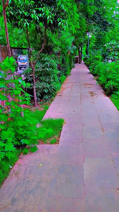 Baba Ramdev Park - 6