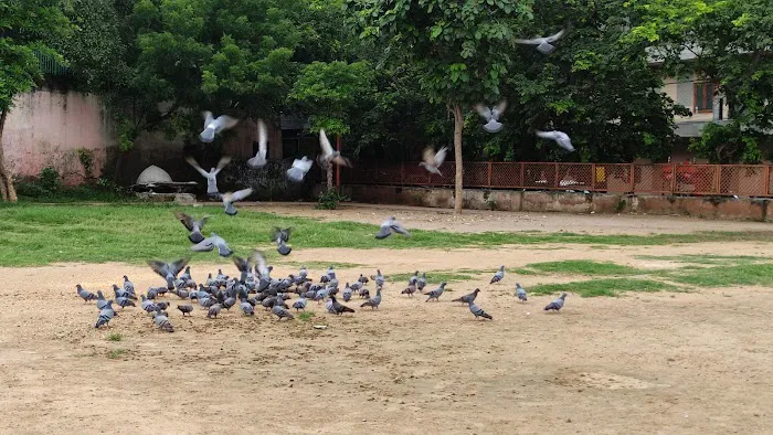 Channa Market Park - 2