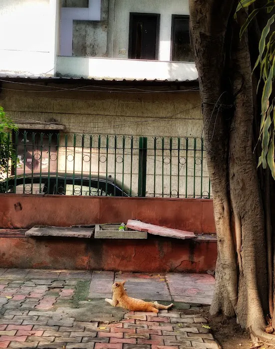 Channa Market Park - 3